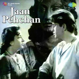 Bhulnewale Tujhe Apni Jafaon Ki MP3 song