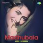 Yeh Duniya Hai Bewafai Ki Madhubala MP3 Song