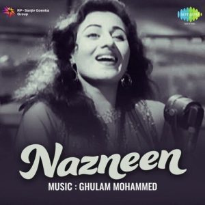 Nakhre Dikhla Ke Dil Le Liya MP3 song