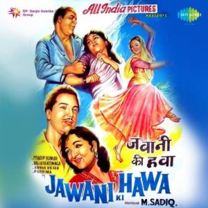 Woh Gaye Jeete The Ham Jinke Liye MP3 song