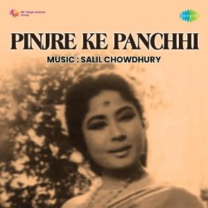 Mere Nain Pakhi Bechare MP3 song