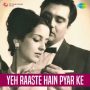 Yeh Raaste Hain Pyar Ke MP3 Song