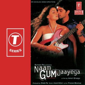 Hamein Tumse Hai Pyar MP3 song