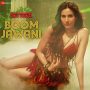 Boom Jawani MP3 Song