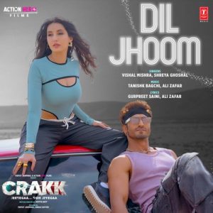 Dil Jhoom 1 MP3 song