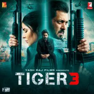 Tiger x Zoya Theme MP3 song