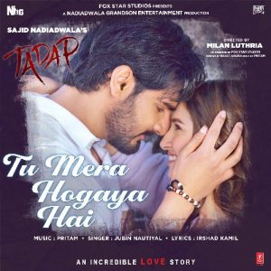 Tu Mera Hogaya Hai MP3 song